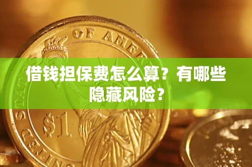 武汉借钱担保费怎么算？有哪些隐藏风险？