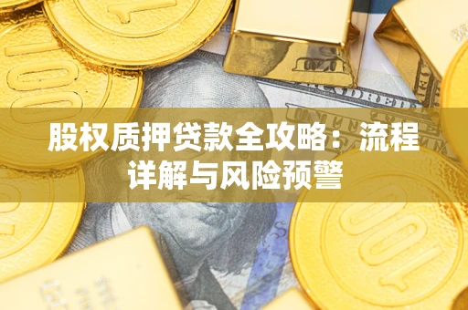 武汉股权质押贷款全攻略：流程详解与风险预警
