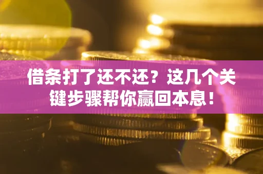 武汉借条打了还不还？这几个关键步骤帮你赢回本息！