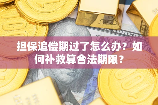 武汉担保追偿期过了怎么办？如何补救算合法期限？