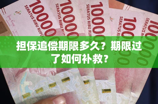 武汉担保追偿期限多久？期限过了如何补救？