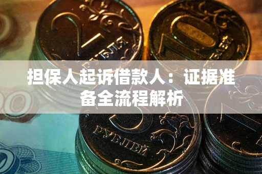 武汉担保人起诉借款人：证据准备全流程解析