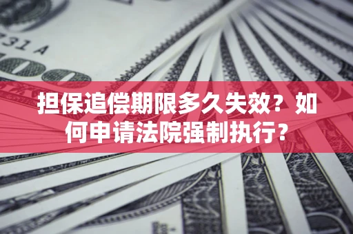 武汉担保追偿期限多久失效？如何申请法院强制执行？