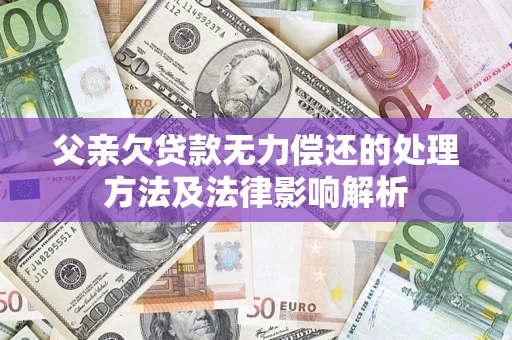 武汉父亲欠贷款无力偿还的处理方法及法律影响解析